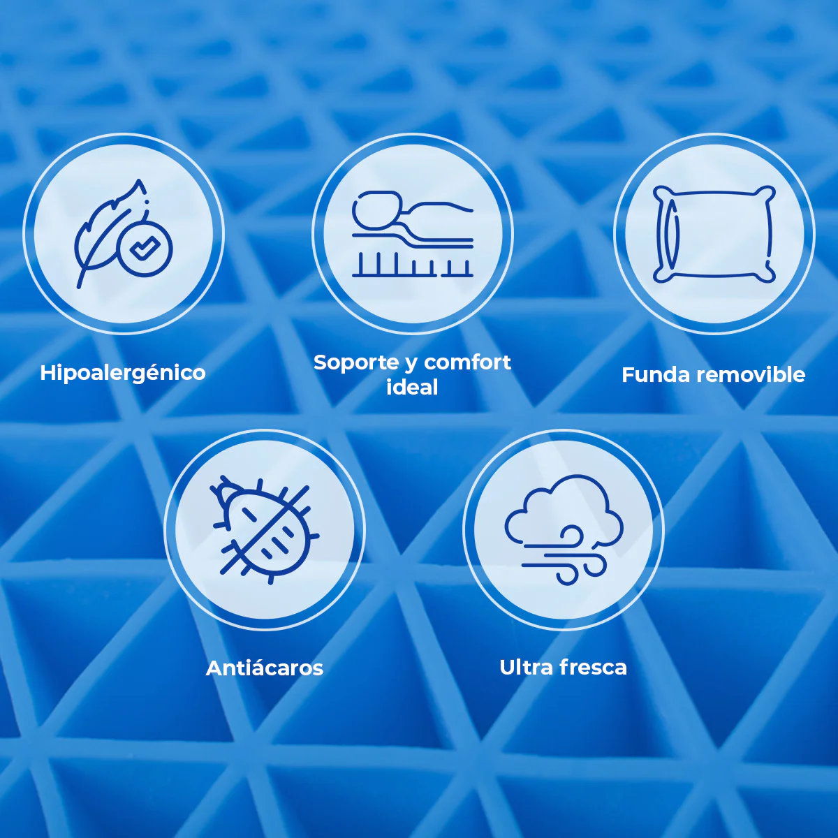 Imagen del producto 5